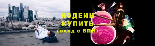 молекула духа Арсеньев