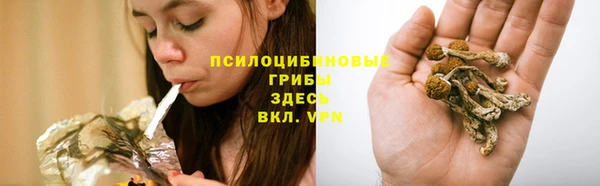 дмт Горно-Алтайск
