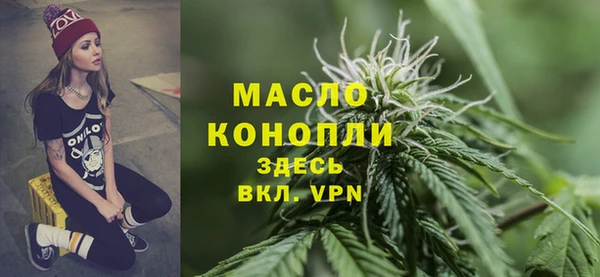 молекула духа Арсеньев