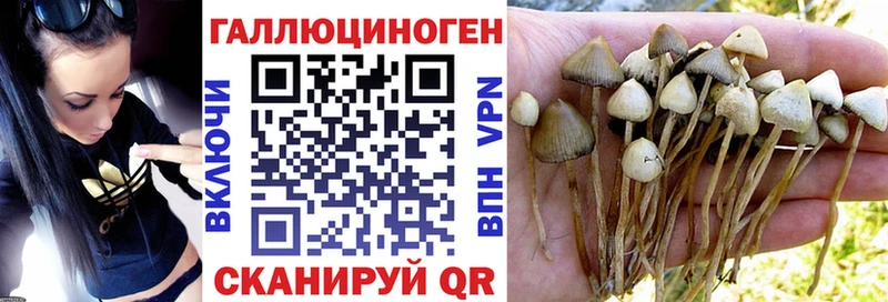 Галлюциногенные грибы Psilocybine cubensis  ссылка на мегу онион  Салават 